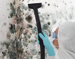  Belvedere, CA Mold Remediation Pros